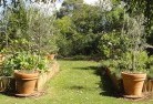 Eltham VICvegetable-gardens-3.jpg; ?>